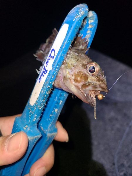 三寒四温