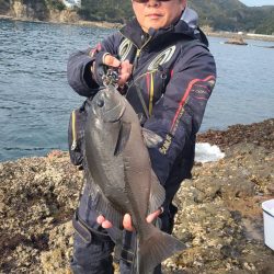 和歌山市江（吉丸渡船）でグレ釣り