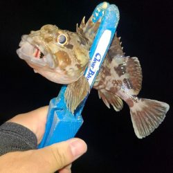 三寒四温
