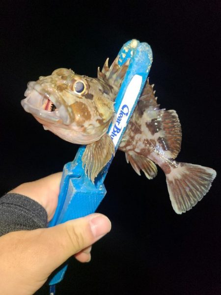 三寒四温