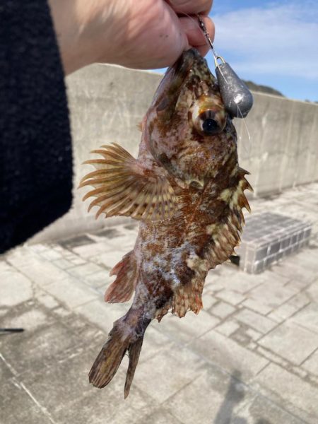 淡路島釣行！