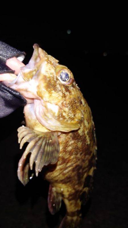 穴釣り