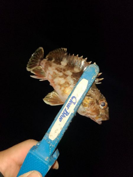 三寒四温