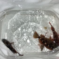雪舞う中