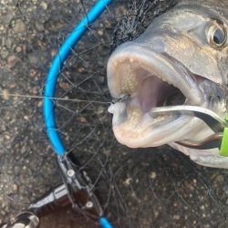 前打ちで1枚