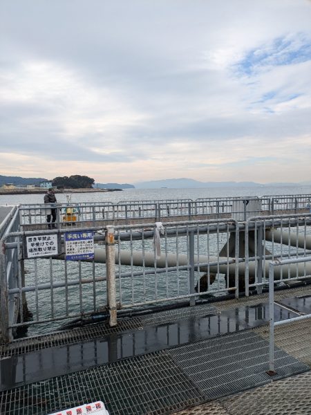 サビキ爆釣果
