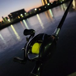寒チニング