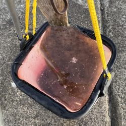 スミイチ