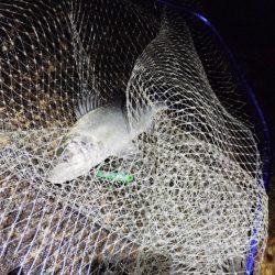 連発せず