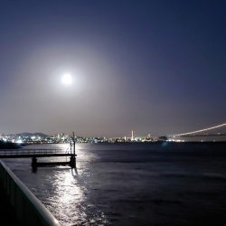 電気浮釣り 2