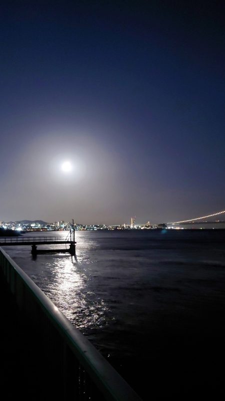 電気浮釣り 2