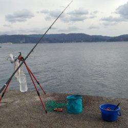 3人で爆釣