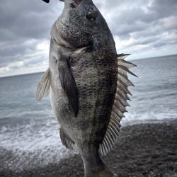 煙樹ヶ浜