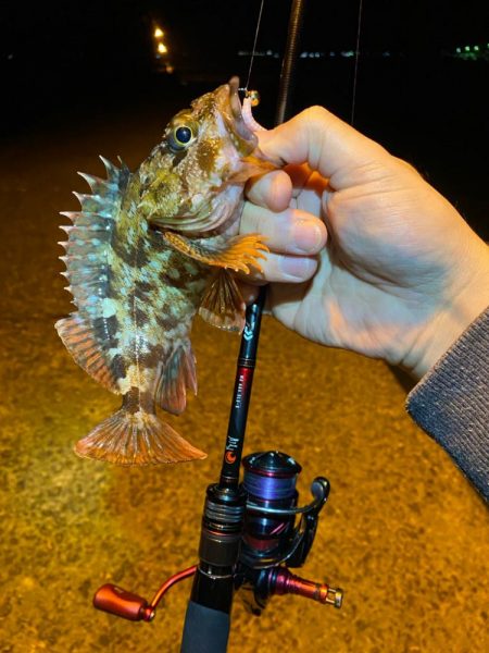 めちゃ久々の釣行