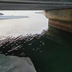 チニング