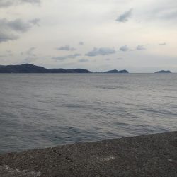 3人で爆釣