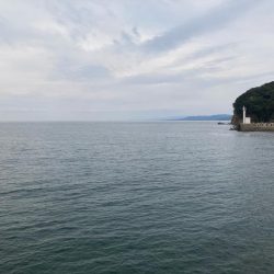 花見カレイ②