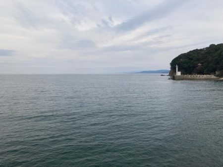 花見カレイ②