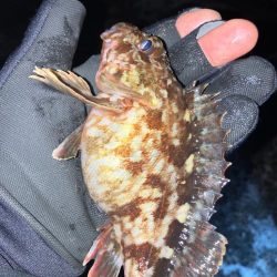 コスリ釣り