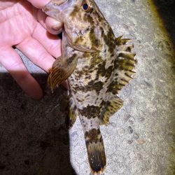 花粉との闘い