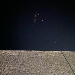 ボウズは回避