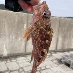 淡路島釣行！