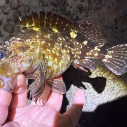 花粉との闘い