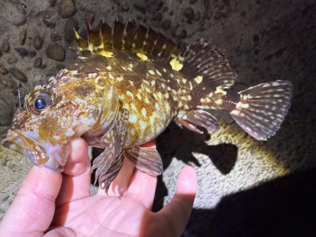 花粉との闘い