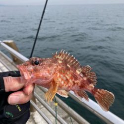 淡路島釣行！
