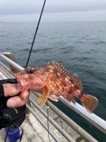 淡路島釣行！