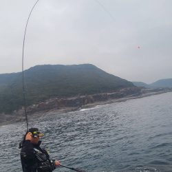 和歌山市江（吉丸渡船）でグレ釣りの予定が・・