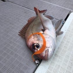 タイラバ