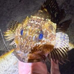 花粉との闘い