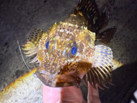 花粉との闘い