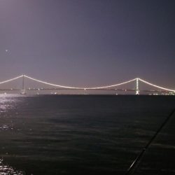 電気浮釣り 2