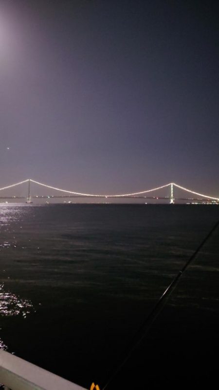 電気浮釣り 2