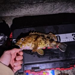 和歌山へ