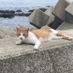 フロートメバリング！
