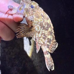 花粉との闘い