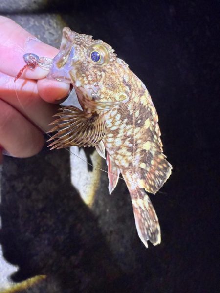 花粉との闘い