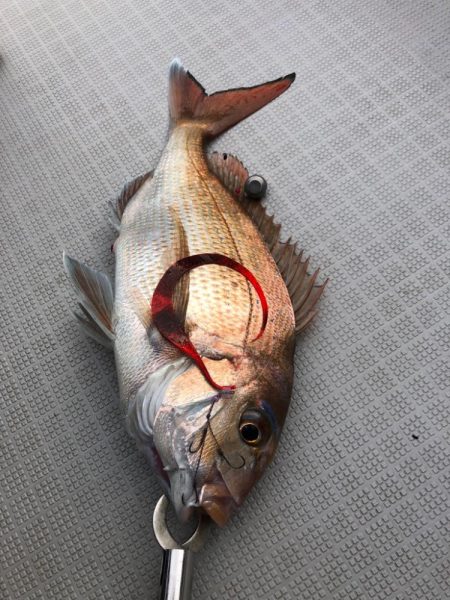 タイラバ