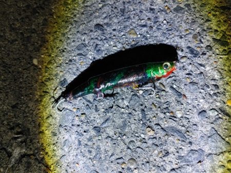 フッコ38cm