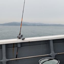 ほぼ連続釣行