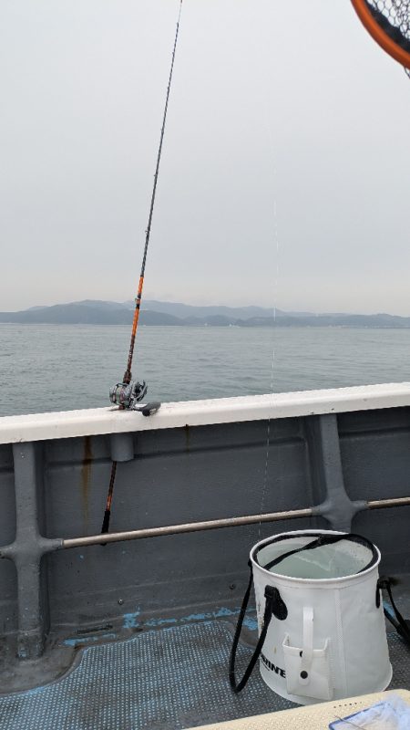 ほぼ連続釣行