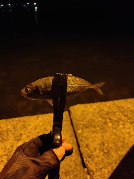 初釣行