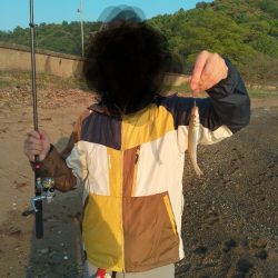 大型キス
