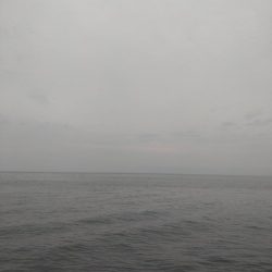 カサゴ2匹