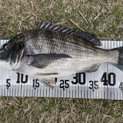 イチノ兄弟、釣果！