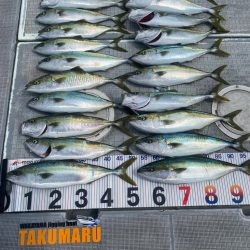 遊漁船　拓丸