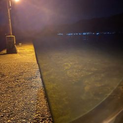 アジング釣査